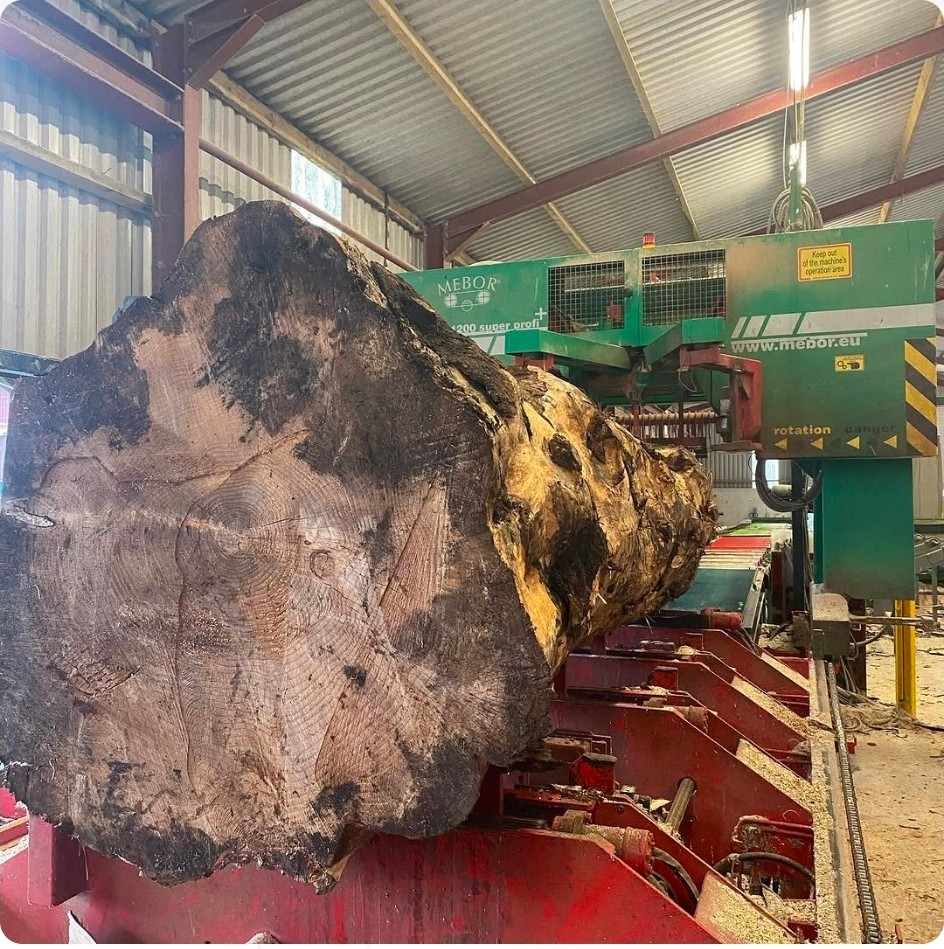 Mebor sawmill machinery in production